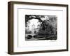 Vajdahunyad Castle, Budapest-Laura Denardo-Framed Photographic Print