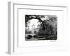 Vajdahunyad Castle, Budapest-Laura Denardo-Framed Photographic Print