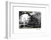 Vajdahunyad Castle, Budapest-Laura Denardo-Framed Photographic Print