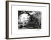 Vajdahunyad Castle, Budapest-Laura Denardo-Framed Photographic Print