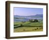 Val d'Orcia, Countryside View, Farmhouse and Green Grass and Hills, Tuscany, Italy-Steve Vidler-Framed Photographic Print