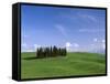 Val d'Orcia, Countryside View, Green Grass and Cypress Trees, Tuscany, Italy-Steve Vidler-Framed Stretched Canvas