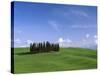 Val d'Orcia, Countryside View, Green Grass and Cypress Trees, Tuscany, Italy-Steve Vidler-Stretched Canvas