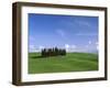 Val d'Orcia, Countryside View, Green Grass and Cypress Trees, Tuscany, Italy-Steve Vidler-Framed Photographic Print
