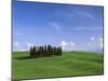Val d'Orcia, Countryside View, Green Grass and Cypress Trees, Tuscany, Italy-Steve Vidler-Mounted Photographic Print