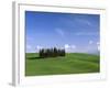 Val d'Orcia, Countryside View, Green Grass and Cypress Trees, Tuscany, Italy-Steve Vidler-Framed Photographic Print