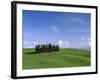 Val d'Orcia, Countryside View, Green Grass and Cypress Trees, Tuscany, Italy-Steve Vidler-Framed Photographic Print