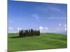 Val d'Orcia, Countryside View, Green Grass and Cypress Trees, Tuscany, Italy-Steve Vidler-Mounted Photographic Print