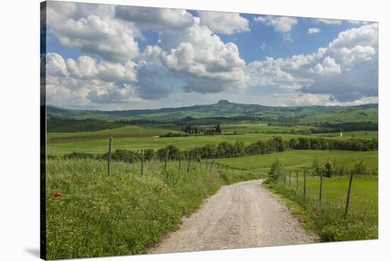 Val D'orcia Landscape-Guido Cozzi-Stretched Canvas