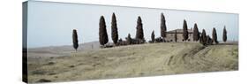 Val d’Orcia Pano #1-Alan Blaustein-Stretched Canvas