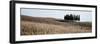 Val d’Orcia Pano #3-Alan Blaustein-Framed Photographic Print
