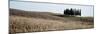 Val d’Orcia Pano #3-Alan Blaustein-Mounted Photographic Print