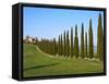 Val D'Orcia, Siena Province, Siena, Tuscany, Italy, Europe-Nico Tondini-Framed Stretched Canvas