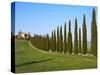 Val D'Orcia, Siena Province, Siena, Tuscany, Italy, Europe-Nico Tondini-Stretched Canvas