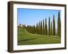 Val D'Orcia, Siena Province, Siena, Tuscany, Italy, Europe-Nico Tondini-Framed Photographic Print