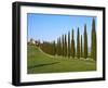 Val D'Orcia, Siena Province, Siena, Tuscany, Italy, Europe-Nico Tondini-Framed Photographic Print