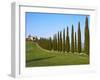 Val D'Orcia, Siena Province, Siena, Tuscany, Italy, Europe-Nico Tondini-Framed Photographic Print