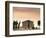 Val d'Orcia, Siena Province, Tuscany, Italy, Europe-Sergio Pitamitz-Framed Photographic Print