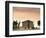 Val d'Orcia, Siena Province, Tuscany, Italy, Europe-Sergio Pitamitz-Framed Photographic Print