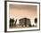 Val d'Orcia, Siena Province, Tuscany, Italy, Europe-Sergio Pitamitz-Framed Photographic Print