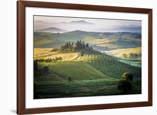 Val D'Orcia, Tuscany, Italy. a Lonely Farmhouse with Cypress and Olive Trees, Rolling Hills.-Francesco Riccardo Iacomino-Framed Photographic Print