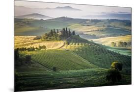 Val D'Orcia, Tuscany, Italy. a Lonely Farmhouse with Cypress and Olive Trees, Rolling Hills.-Francesco Riccardo Iacomino-Mounted Photographic Print