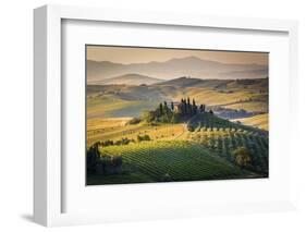 Val D'Orcia, Tuscany, Italy. a Lonely Farmhouse with Cypress and Olive Trees, Rolling Hills.-Francesco Riccardo Iacomino-Framed Photographic Print