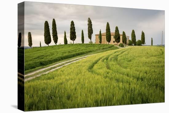 Val D'Orcia, Tuscany, Italy. a Lonely Farmhouse with Cypress Trees Standing in Line in Foreground.-Francesco Riccardo Iacomino-Stretched Canvas