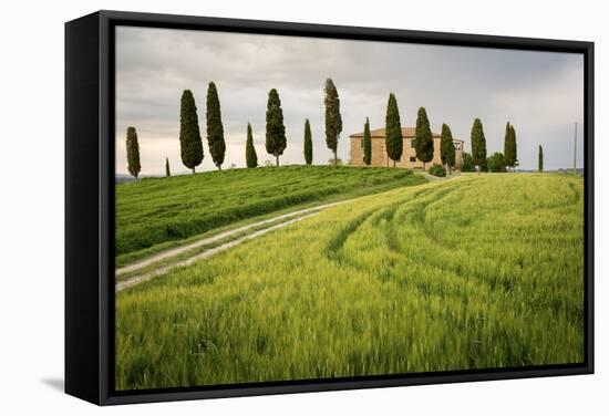 Val D'Orcia, Tuscany, Italy. a Lonely Farmhouse with Cypress Trees Standing in Line in Foreground.-Francesco Riccardo Iacomino-Framed Stretched Canvas