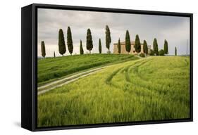 Val D'Orcia, Tuscany, Italy. a Lonely Farmhouse with Cypress Trees Standing in Line in Foreground.-Francesco Riccardo Iacomino-Framed Stretched Canvas