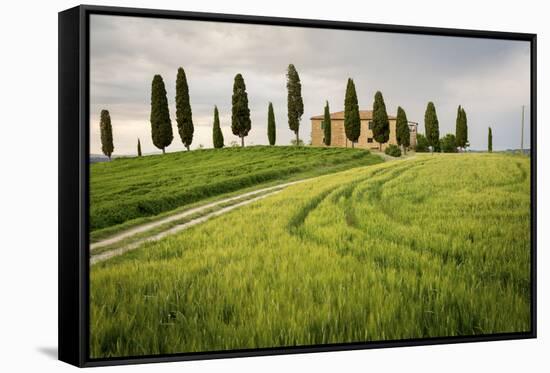 Val D'Orcia, Tuscany, Italy. a Lonely Farmhouse with Cypress Trees Standing in Line in Foreground.-Francesco Riccardo Iacomino-Framed Stretched Canvas