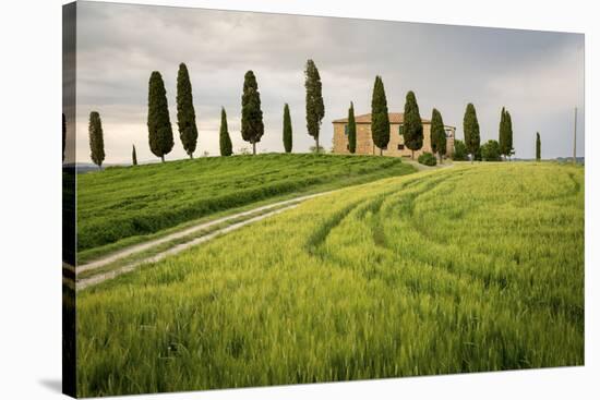 Val D'Orcia, Tuscany, Italy. a Lonely Farmhouse with Cypress Trees Standing in Line in Foreground.-Francesco Riccardo Iacomino-Stretched Canvas