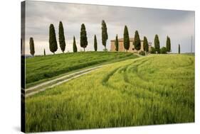 Val D'Orcia, Tuscany, Italy. a Lonely Farmhouse with Cypress Trees Standing in Line in Foreground.-Francesco Riccardo Iacomino-Stretched Canvas