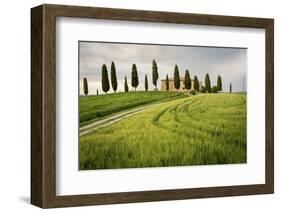 Val D'Orcia, Tuscany, Italy. a Lonely Farmhouse with Cypress Trees Standing in Line in Foreground.-Francesco Riccardo Iacomino-Framed Photographic Print