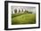 Val D'Orcia, Tuscany, Italy. a Lonely Farmhouse with Cypress Trees Standing in Line in Foreground.-Francesco Riccardo Iacomino-Framed Photographic Print