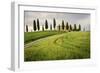 Val D'Orcia, Tuscany, Italy. a Lonely Farmhouse with Cypress Trees Standing in Line in Foreground.-Francesco Riccardo Iacomino-Framed Photographic Print