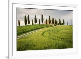 Val D'Orcia, Tuscany, Italy. a Lonely Farmhouse with Cypress Trees Standing in Line in Foreground.-Francesco Riccardo Iacomino-Framed Photographic Print