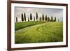 Val D'Orcia, Tuscany, Italy. a Lonely Farmhouse with Cypress Trees Standing in Line in Foreground.-Francesco Riccardo Iacomino-Framed Photographic Print