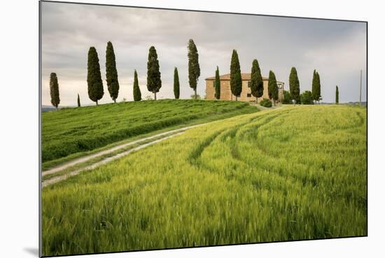 Val D'Orcia, Tuscany, Italy. a Lonely Farmhouse with Cypress Trees Standing in Line in Foreground.-Francesco Riccardo Iacomino-Mounted Photographic Print