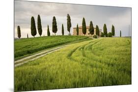 Val D'Orcia, Tuscany, Italy. a Lonely Farmhouse with Cypress Trees Standing in Line in Foreground.-Francesco Riccardo Iacomino-Mounted Photographic Print