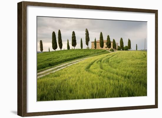 Val D'Orcia, Tuscany, Italy. a Lonely Farmhouse with Cypress Trees Standing in Line in Foreground.-Francesco Riccardo Iacomino-Framed Photographic Print