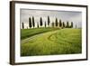 Val D'Orcia, Tuscany, Italy. a Lonely Farmhouse with Cypress Trees Standing in Line in Foreground.-Francesco Riccardo Iacomino-Framed Photographic Print