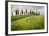 Val D'Orcia, Tuscany, Italy. a Lonely Farmhouse with Cypress Trees Standing in Line in Foreground.-Francesco Riccardo Iacomino-Framed Photographic Print