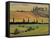 Val d'Orcia, Tuscany, Italy-Walter Bibikow-Framed Stretched Canvas