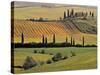 Val d'Orcia, Tuscany, Italy-Walter Bibikow-Stretched Canvas