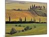 Val d'Orcia, Tuscany, Italy-Walter Bibikow-Mounted Photographic Print