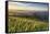 Val D'Orcia - Tuscany, Italy-ClickAlps-Framed Stretched Canvas