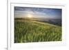 Val D'Orcia - Tuscany, Italy-ClickAlps-Framed Photographic Print