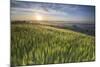 Val D'Orcia - Tuscany, Italy-ClickAlps-Mounted Photographic Print