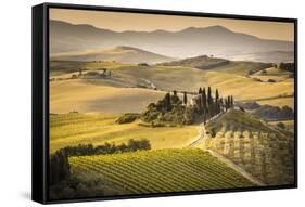 Val d'Orcia, Tuscany, Italy-ClickAlps-Framed Stretched Canvas